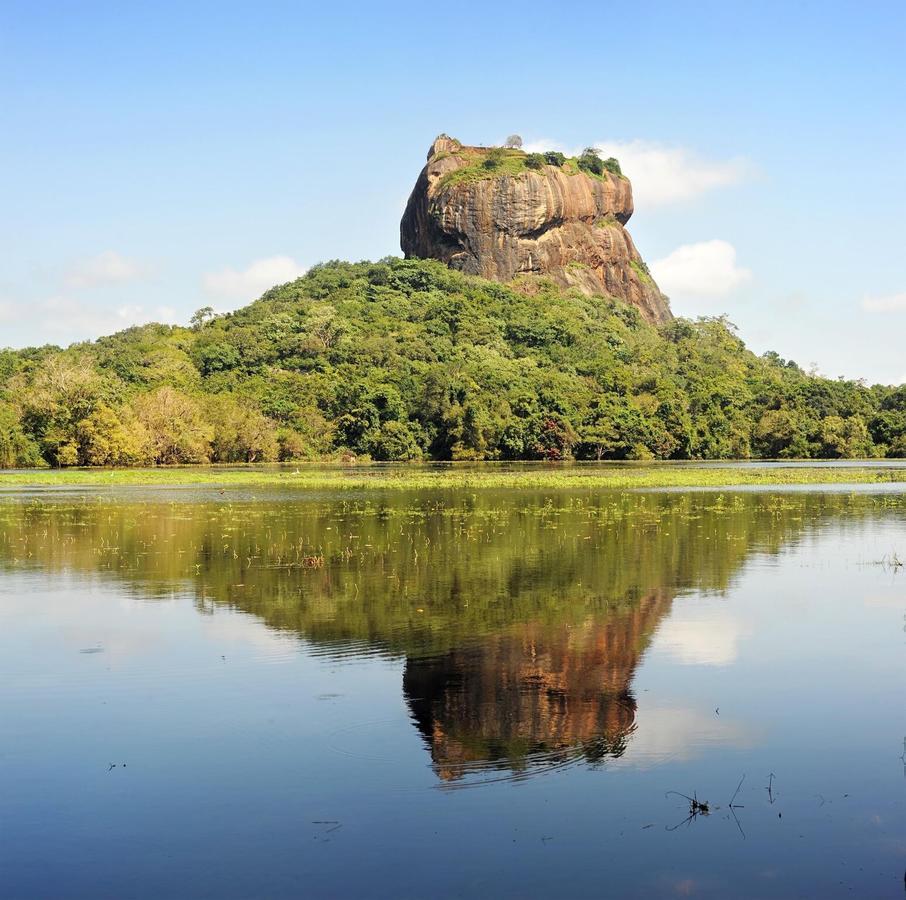 Sunshine Resort & Spa Sigiriya Exteriör bild