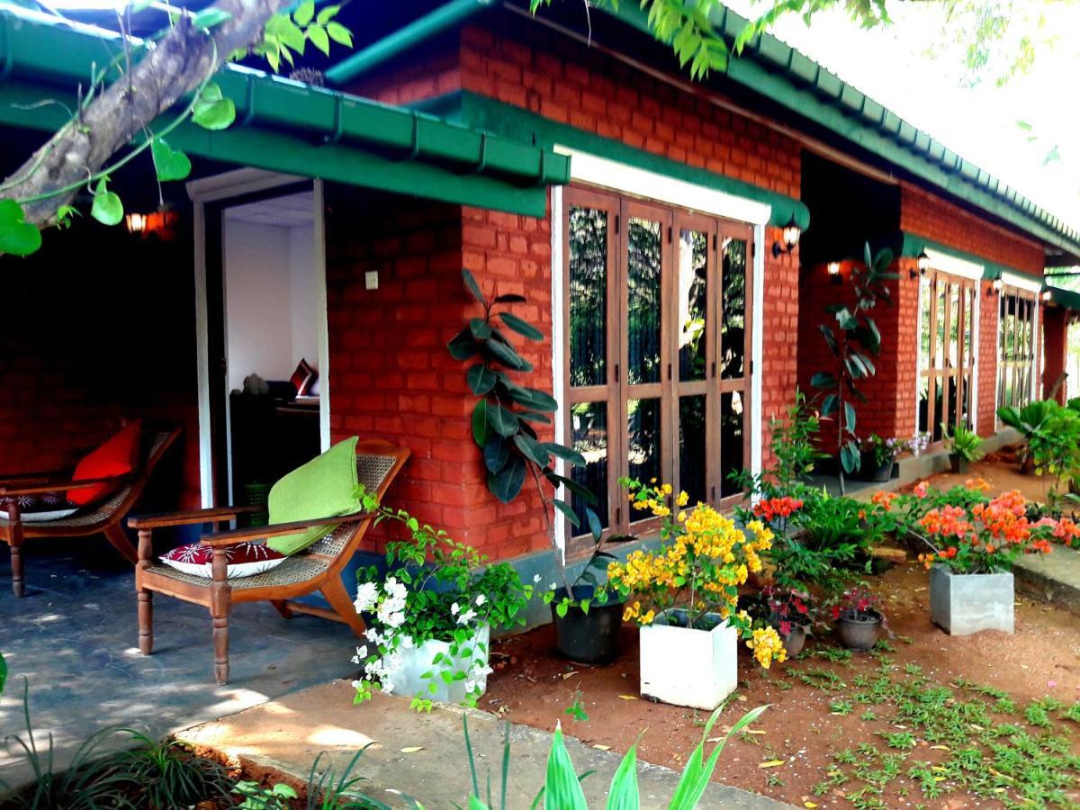 Sunshine Resort & Spa Sigiriya Exteriör bild